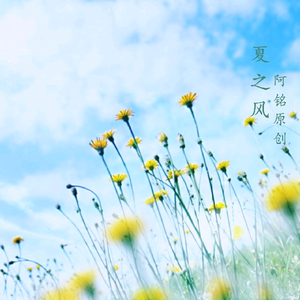 调教女人屁股被打破
