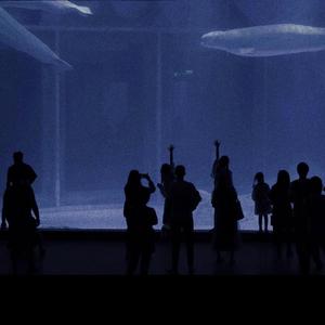 调教女人屁股被打破
