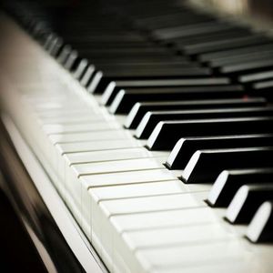 调教女人屁股被打破
