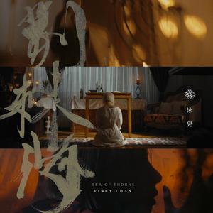 调教女人屁股被打破
