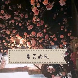 调教女人屁股被打破
