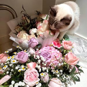 调教女人屁股被打破
